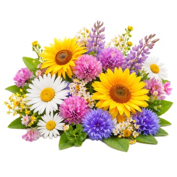 Polifloră
