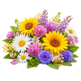 Poliflora
